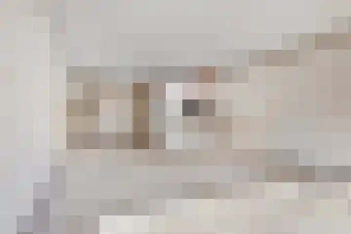 Donizettirode 4 Zoetermeer thumbnail 11