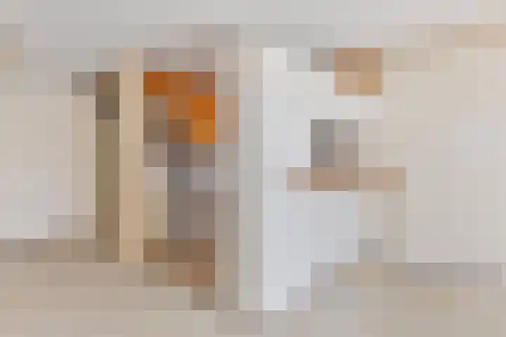 Donizettirode 4 Zoetermeer thumbnail 12