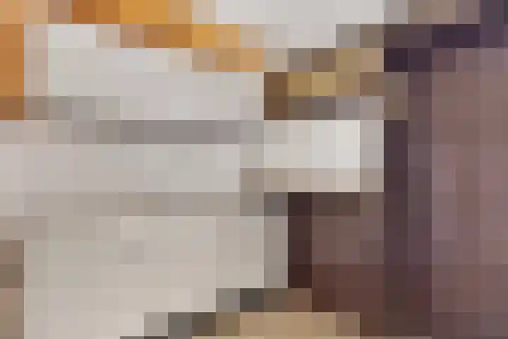 Donizettirode 4 Zoetermeer thumbnail 14