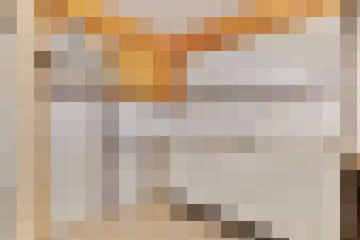 Donizettirode 4 Zoetermeer thumbnail 15