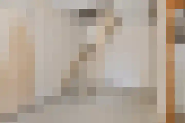 Donizettirode 4 Zoetermeer thumbnail 16