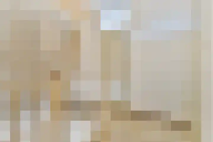 Donizettirode 4 Zoetermeer thumbnail 17
