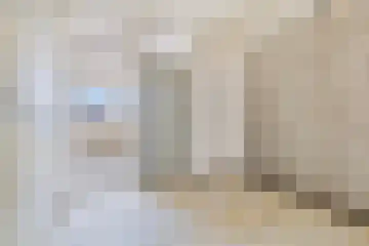 Donizettirode 4 Zoetermeer thumbnail 19
