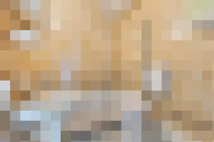 Donizettirode 4 Zoetermeer thumbnail 20