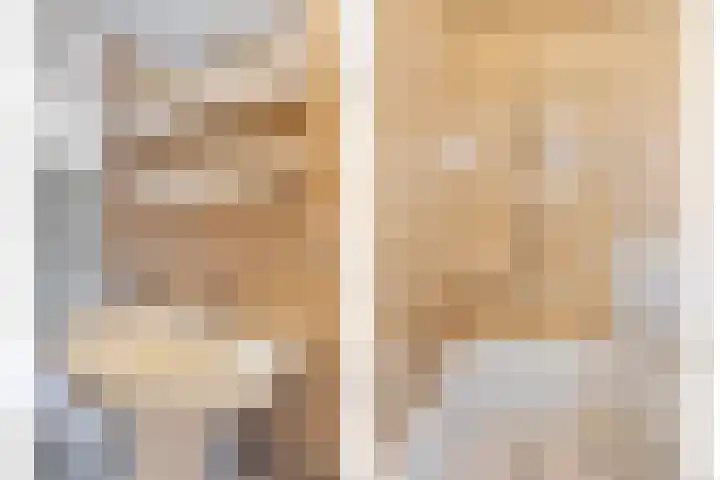 Donizettirode 4 Zoetermeer thumbnail 21