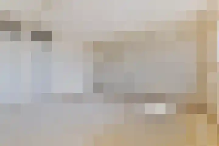 Donizettirode 4 Zoetermeer thumbnail 23