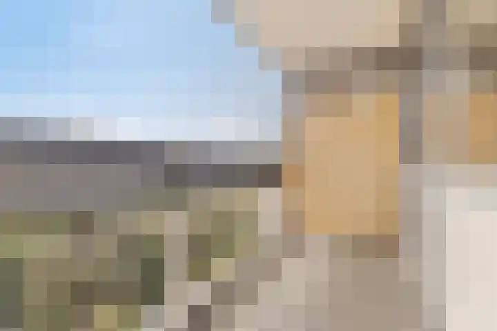 Donizettirode 4 Zoetermeer thumbnail 25