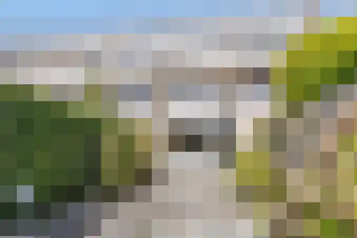 Donizettirode 4 Zoetermeer thumbnail 27