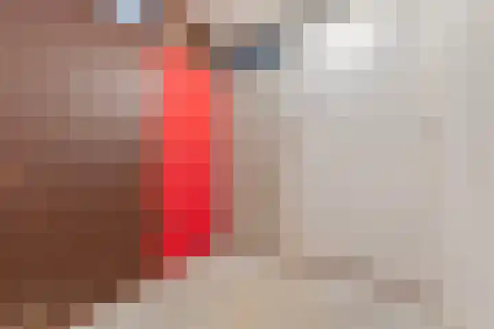 Donizettirode 4 Zoetermeer thumbnail 28
