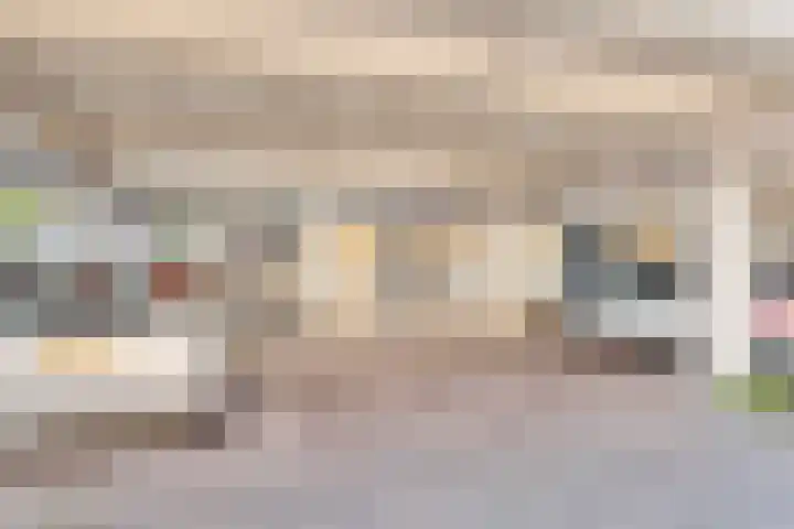 Donizettirode 4 Zoetermeer thumbnail 29