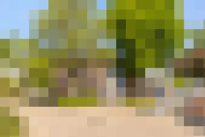 Donizettirode 4 Zoetermeer thumbnail 32