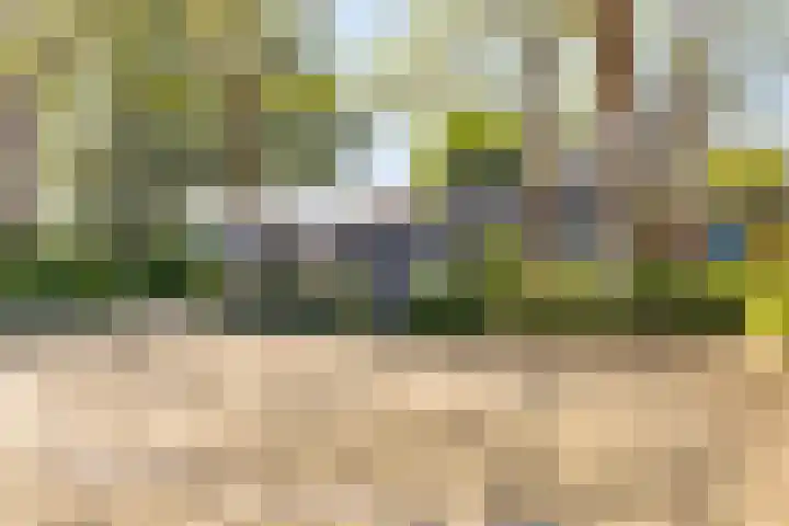 Donizettirode 4 Zoetermeer thumbnail 33