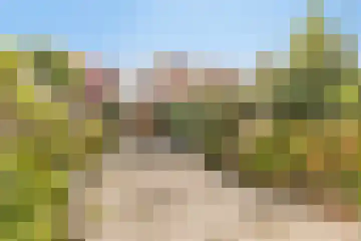 Donizettirode 4 Zoetermeer thumbnail 4