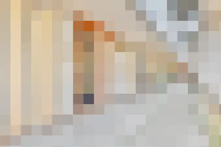Donizettirode 4 Zoetermeer thumbnail 6