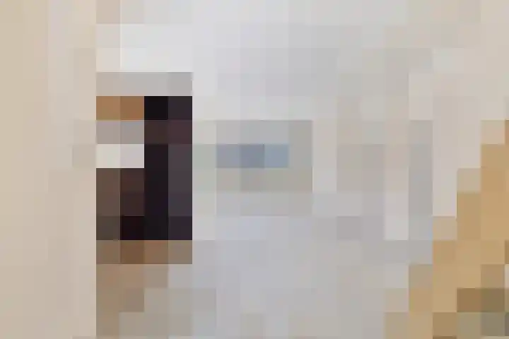 Donizettirode 4 Zoetermeer thumbnail 9