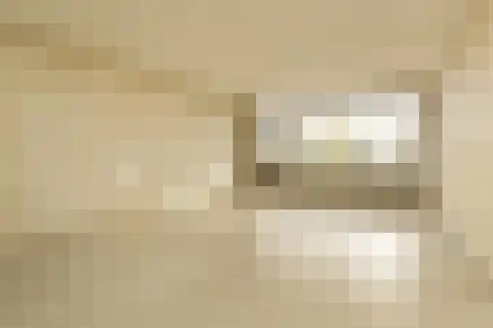 Donizettirode 8 Zoetermeer thumbnail 10