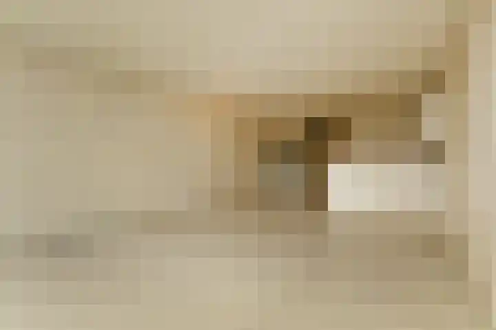 Donizettirode 8 Zoetermeer thumbnail 11