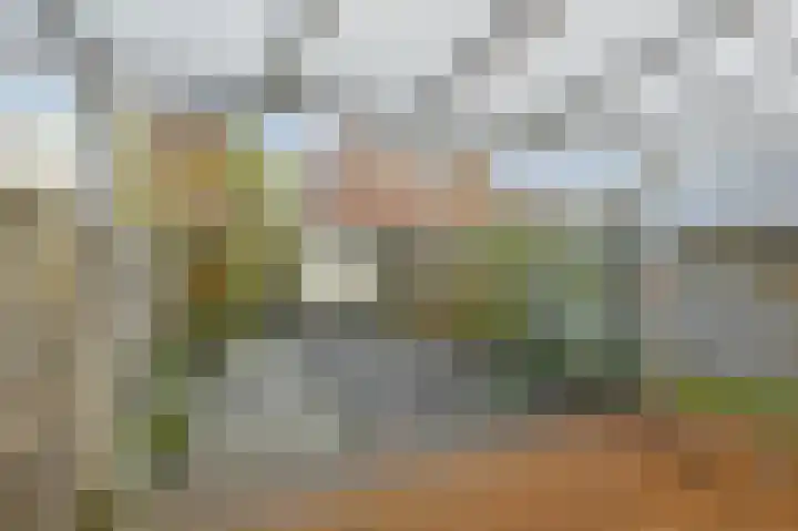 Donizettirode 8 Zoetermeer thumbnail 12