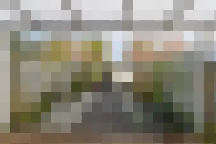 Donizettirode 8 Zoetermeer thumbnail 13