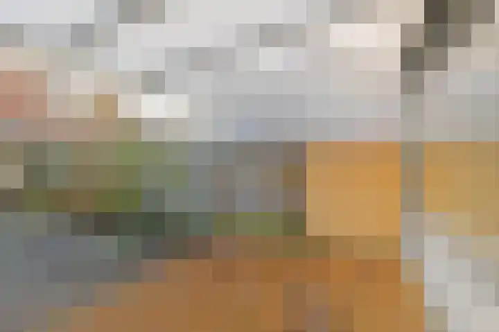 Donizettirode 8 Zoetermeer thumbnail 14