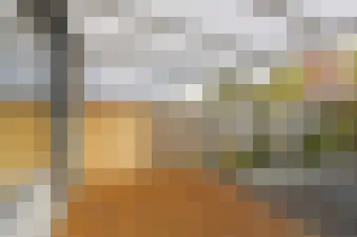 Donizettirode 8 Zoetermeer thumbnail 15