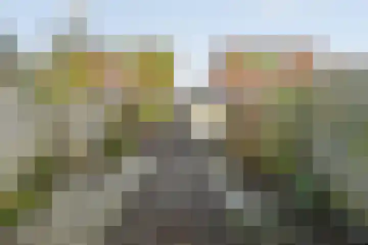 Donizettirode 8 Zoetermeer thumbnail 16