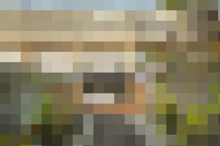 Donizettirode 8 Zoetermeer thumbnail 17