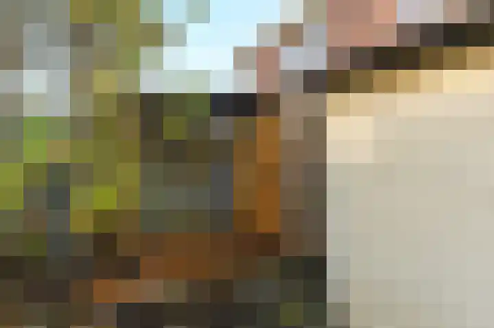 Donizettirode 8 Zoetermeer thumbnail 18