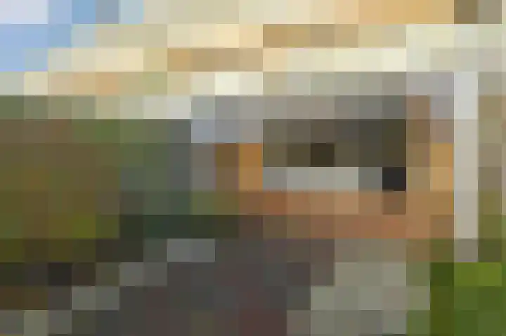 Donizettirode 8 Zoetermeer thumbnail 19