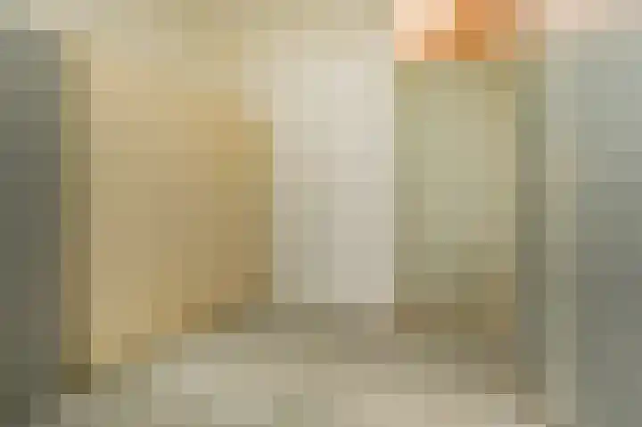 Donizettirode 8 Zoetermeer thumbnail 22