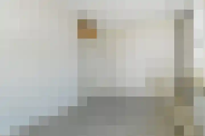 Donizettirode 8 Zoetermeer thumbnail 25