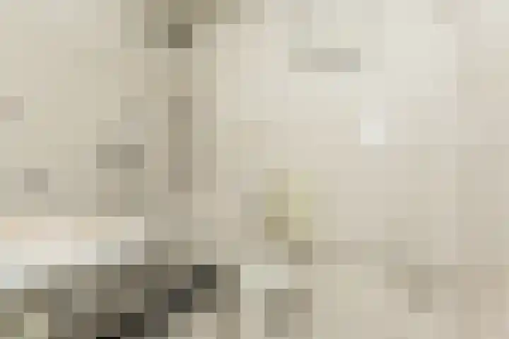 Donizettirode 8 Zoetermeer thumbnail 26