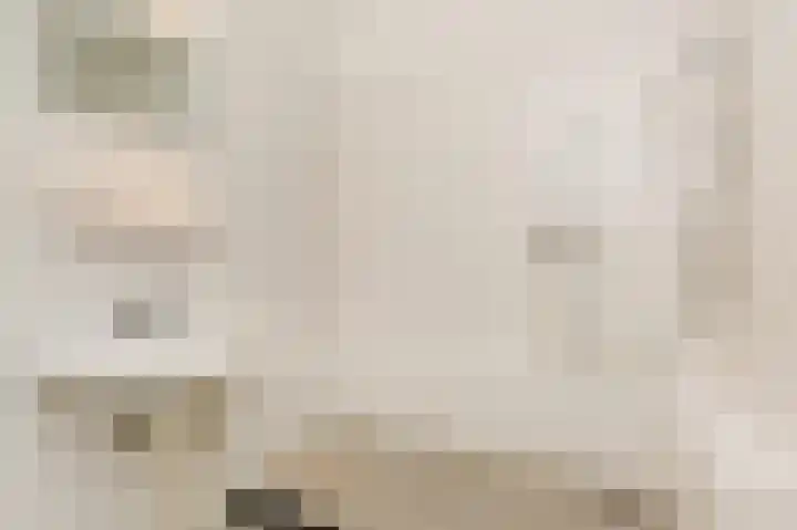Donizettirode 8 Zoetermeer thumbnail 27