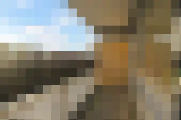 Donizettirode 8 Zoetermeer thumbnail 35