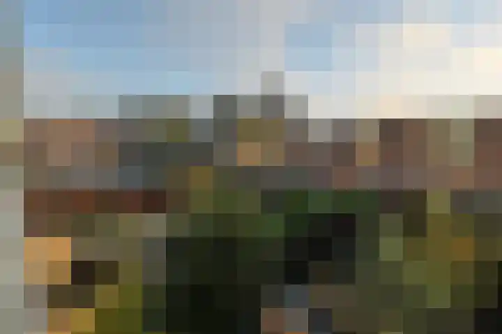 Donizettirode 8 Zoetermeer thumbnail 36