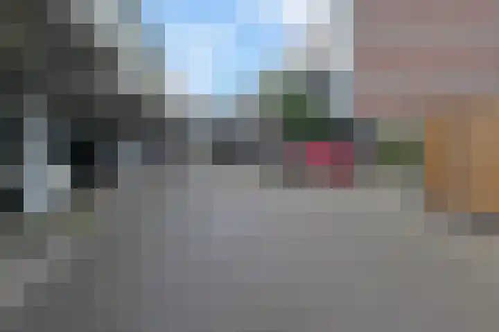 Donizettirode 8 Zoetermeer thumbnail 37