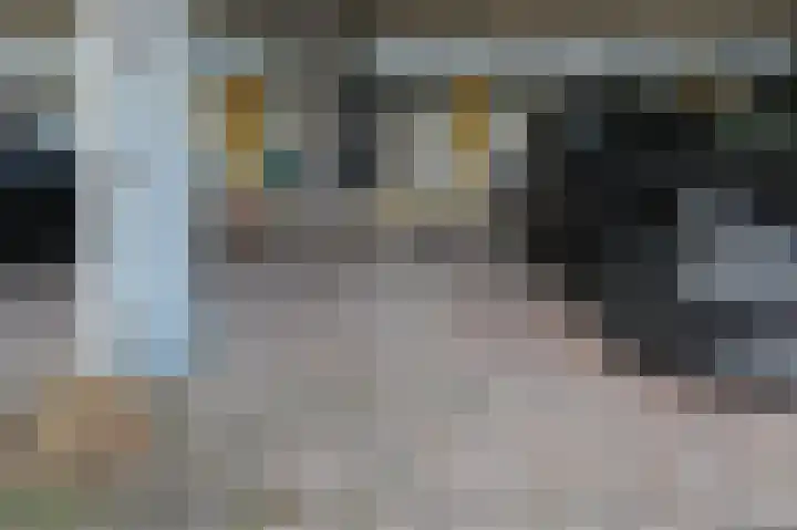 Donizettirode 8 Zoetermeer thumbnail 40