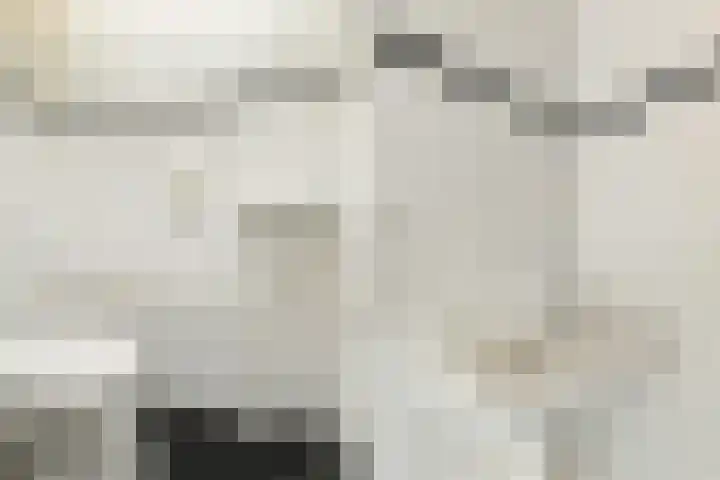 Donizettirode 8 Zoetermeer thumbnail 6