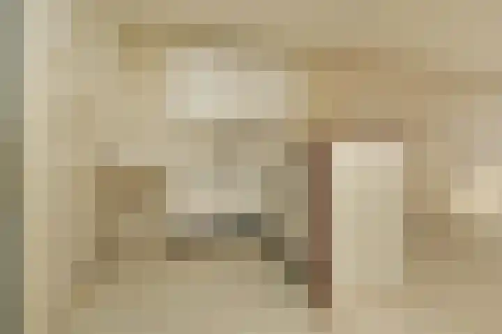 Donizettirode 8 Zoetermeer thumbnail 7
