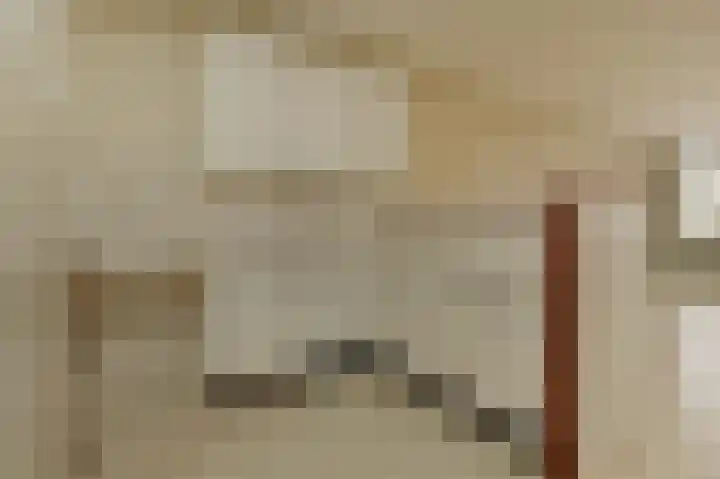 Donizettirode 8 Zoetermeer thumbnail 8