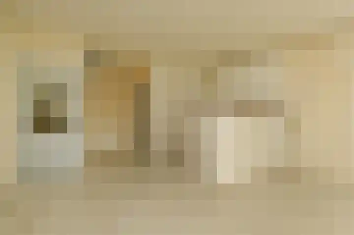 Donizettirode 8 Zoetermeer thumbnail 9
