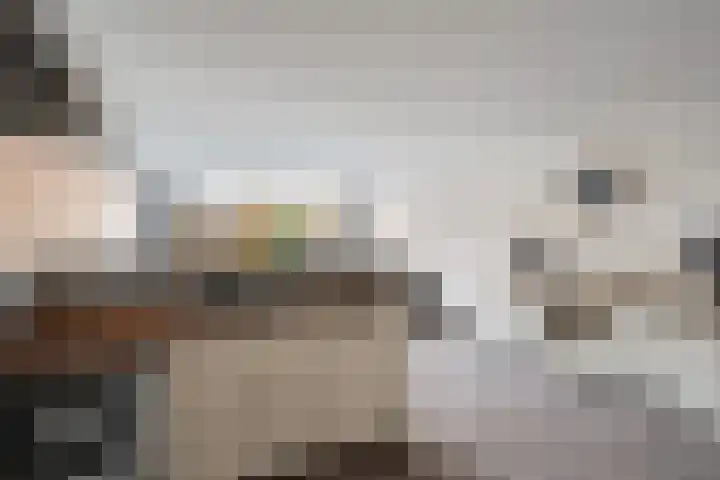 Donizettirode 9 Zoetermeer thumbnail 11