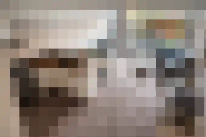 Donizettirode 9 Zoetermeer thumbnail 12