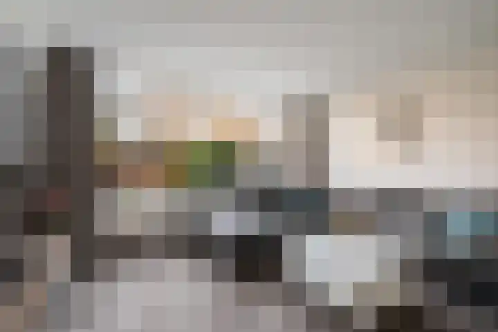 Donizettirode 9 Zoetermeer thumbnail 15