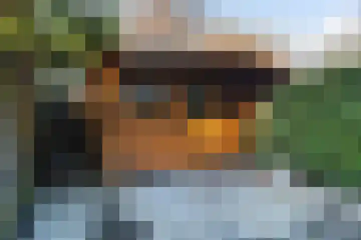 Donizettirode 9 Zoetermeer thumbnail 18