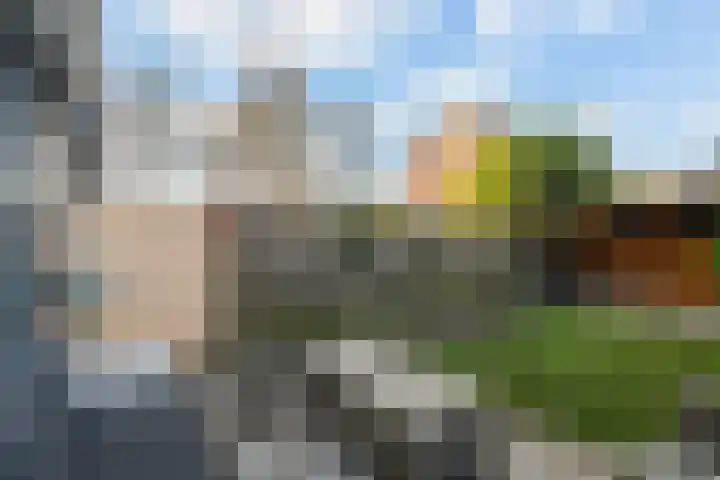 Donizettirode 9 Zoetermeer thumbnail 19