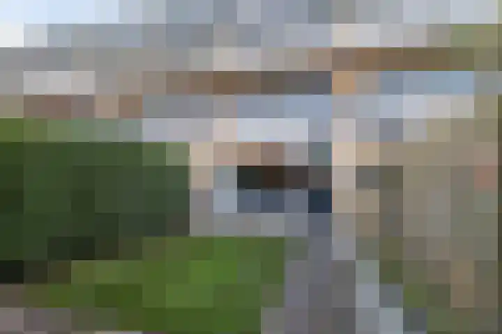 Donizettirode 9 Zoetermeer thumbnail 20