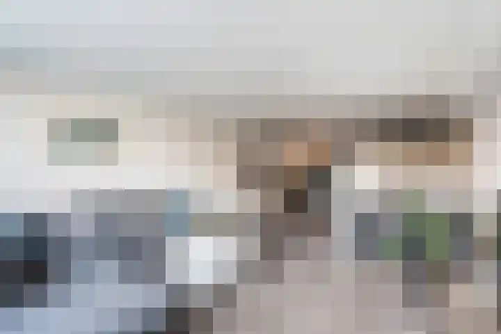 Donizettirode 9 Zoetermeer thumbnail 22