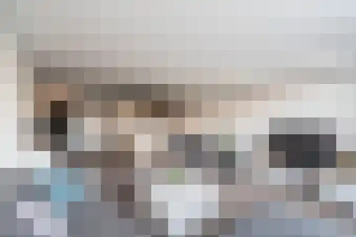 Donizettirode 9 Zoetermeer thumbnail 23