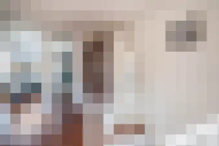 Donizettirode 9 Zoetermeer thumbnail 26